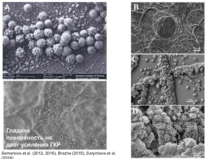 А Semenova et al. (2012, 2016), Brazhe (2015), Sarycheva et al.