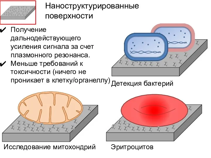 Исследование митохондрий Детекция бактерий Эритроцитов Наноструктурированные поверхности Получение дальнодействующего усиления сигнала