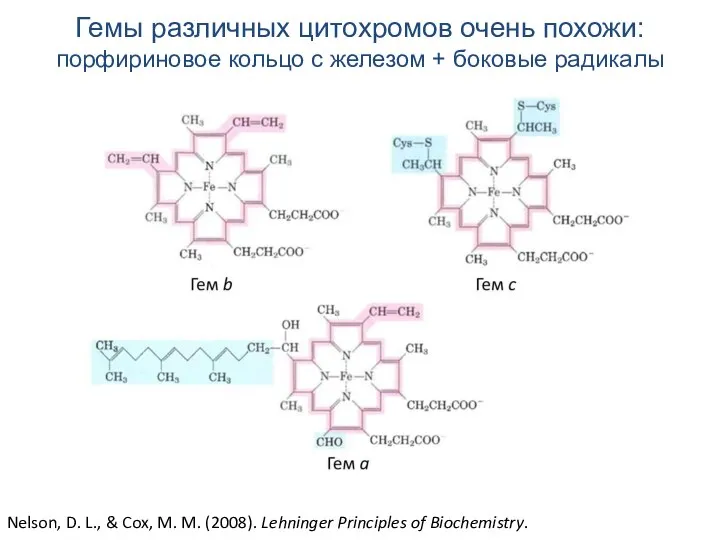 Nelson, D. L., & Cox, M. M. (2008). Lehninger Principles of