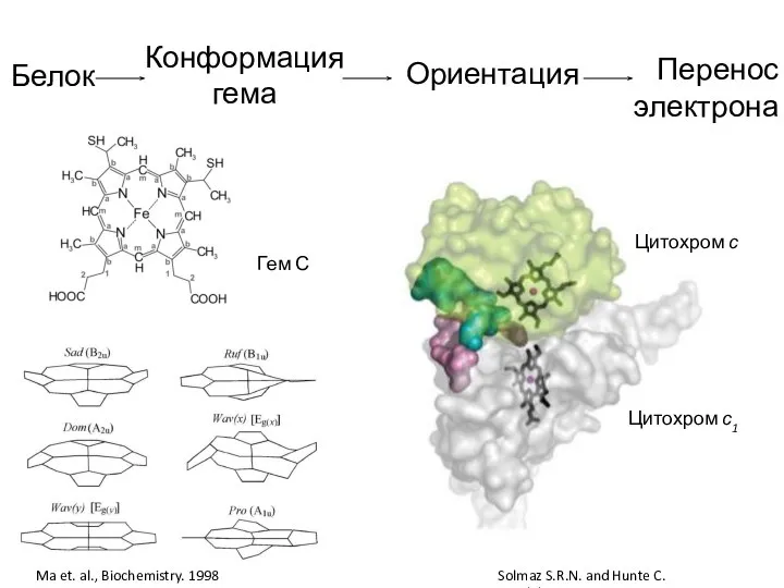 Ma et. al., Biochemistry. 1998 Solmaz S.R.N. and Hunte C. J.BiolChem,