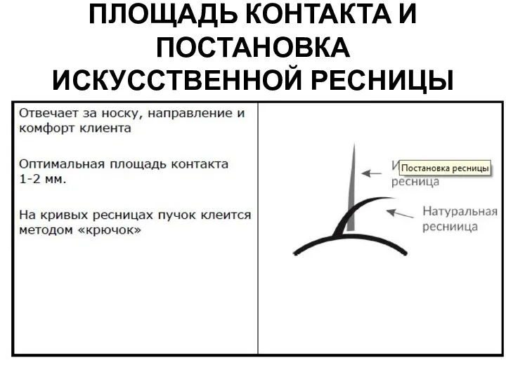 ПЛОЩАДЬ КОНТАКТА И ПОСТАНОВКА ИСКУССТВЕННОЙ РЕСНИЦЫ