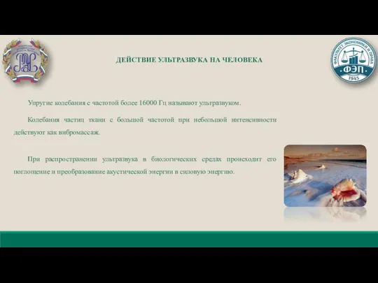 ДЕЙСТВИЕ УЛЬТРАЗВУКА НА ЧЕЛОВЕКА Упругие колебания с частотой более 16000 Гц