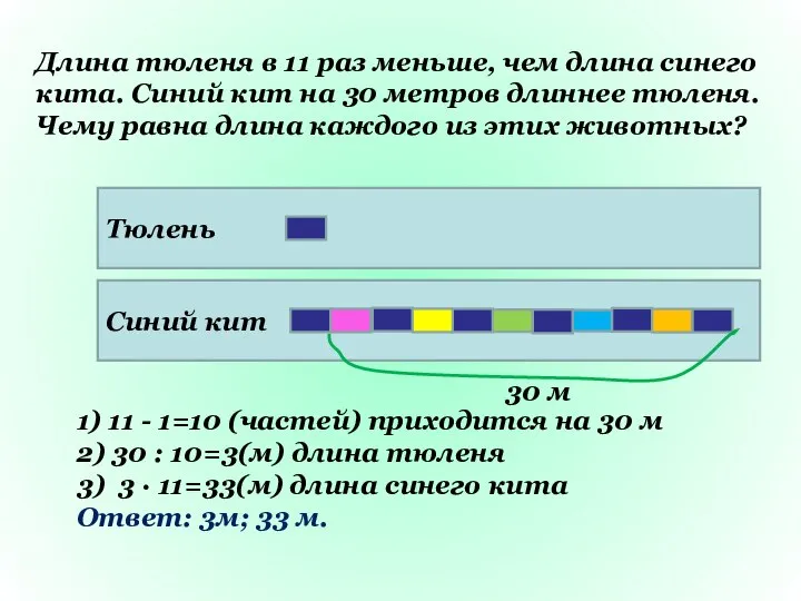 Длина тюленя в 11 раз меньше, чем длина синего кита. Синий