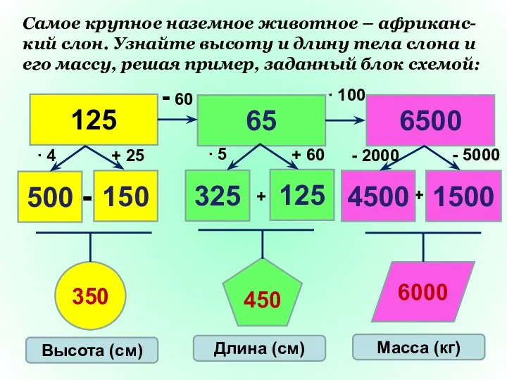 + + - ∙ 4 + 60 Самое крупное наземное животное