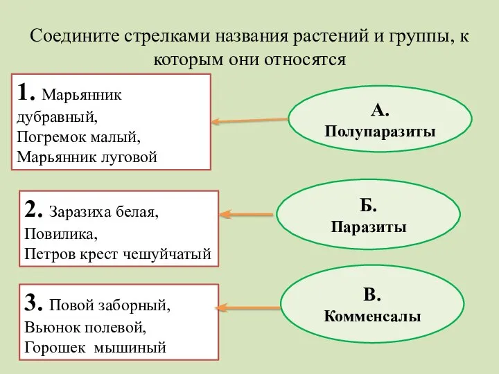 Соедините стрелками названия растений и группы, к которым они относятся 1.