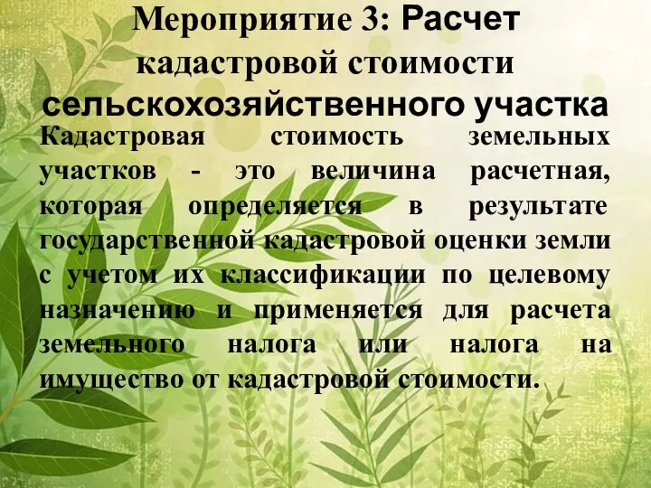 Мероприятие 3: Расчет кадастровой стоимости сельскохозяйственного участка Кадастровая стоимость земельных участков