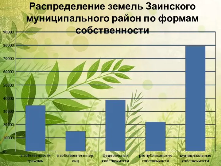 Распределение земель Заинского муниципального район по формам собственности