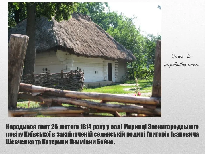 Народився поет 25 лютого 1814 року у селі Моринці Звенигородського повіту