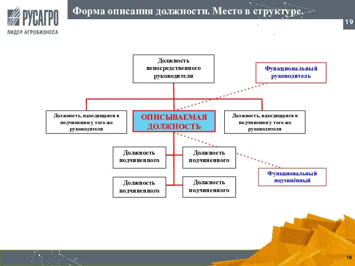 Функциональный руководитель Должность, находящаяся в подчинении у того же руководителя ОПИСЫВАЕМАЯ