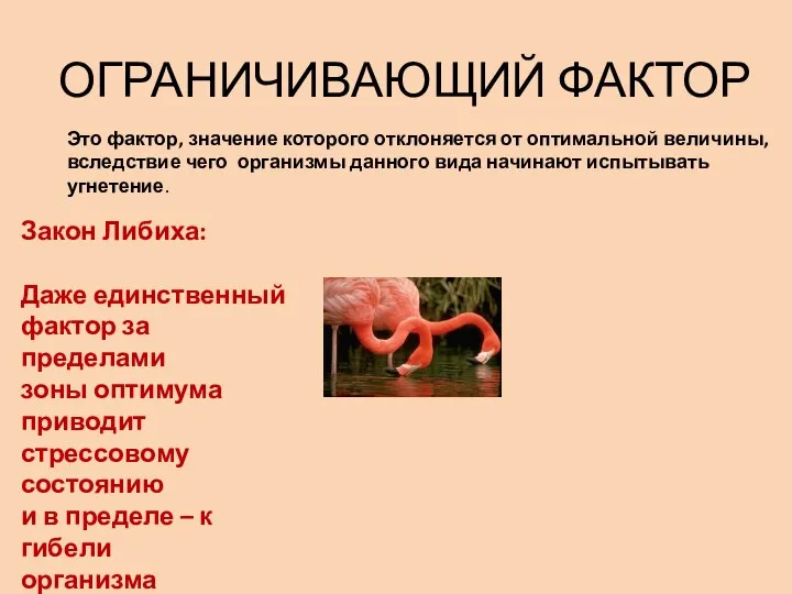 ОГРАНИЧИВАЮЩИЙ ФАКТОР Это фактор, значение которого отклоняется от оптимальной величины, вследствие