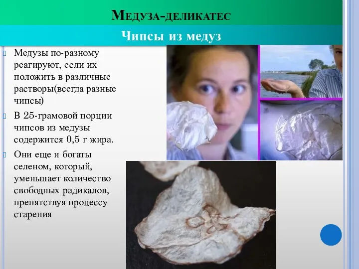 Медуза-деликатес Медузы по-разному реагируют, если их положить в различные растворы(всегда разные