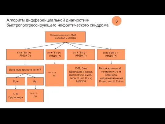 Алгоритм дифференциальной диагностики быстропрогрессирующего нефритического синдрома 3 Определение анти-ГБМ- антител и