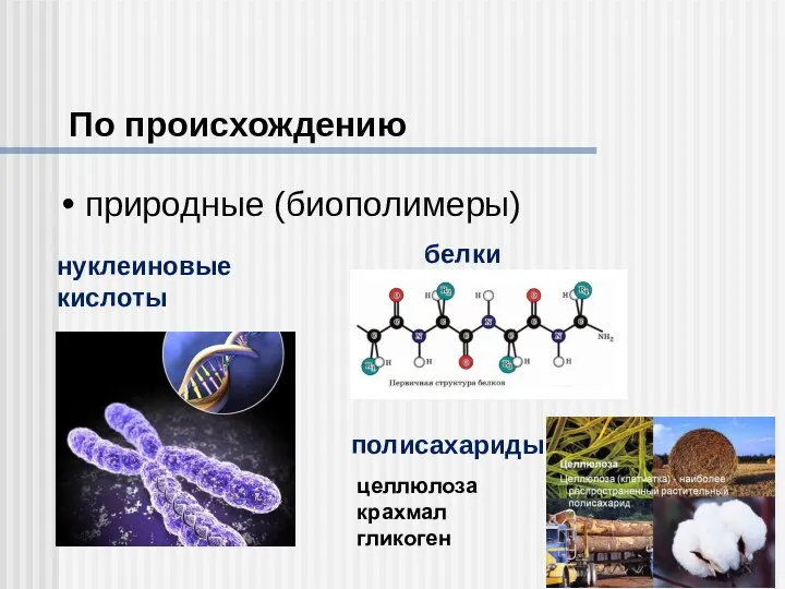 По происхождению природные (биополимеры) нуклеиновые кислоты белки полисахариды целлюлоза крахмал гликоген