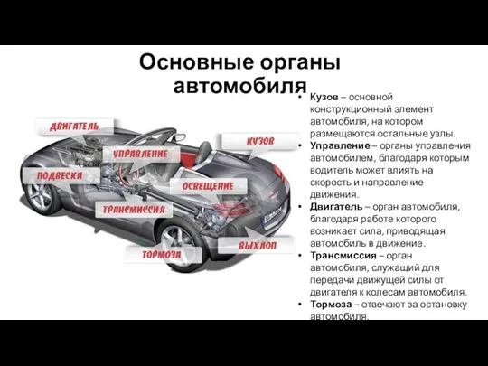 Основные органы автомобиля Кузов – основной конструкционный элемент автомобиля, на котором