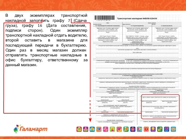 В двух экземплярах транспортной накладной заполнить графу 7 (Сдача груза), графу