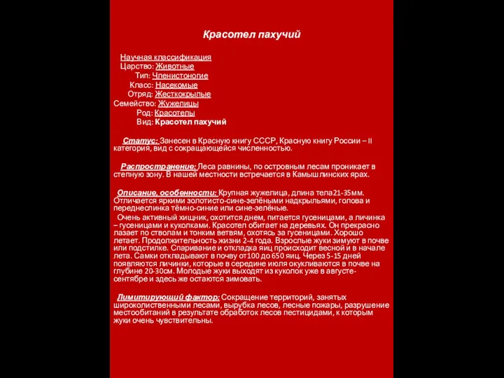 Красотел пахучий Научная классификация Царство: Животные Тип: Членистоногие Класс: Насекомые Отряд: