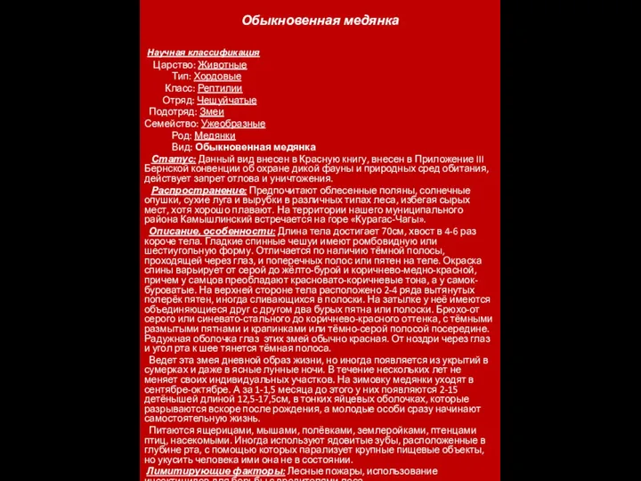 Обыкновенная медянка Научная классификация Царство: Животные Тип: Хордовые Класс: Рептилии Отряд: