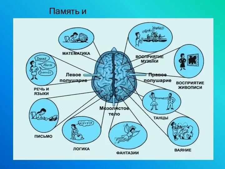 Память и воспроизведение: