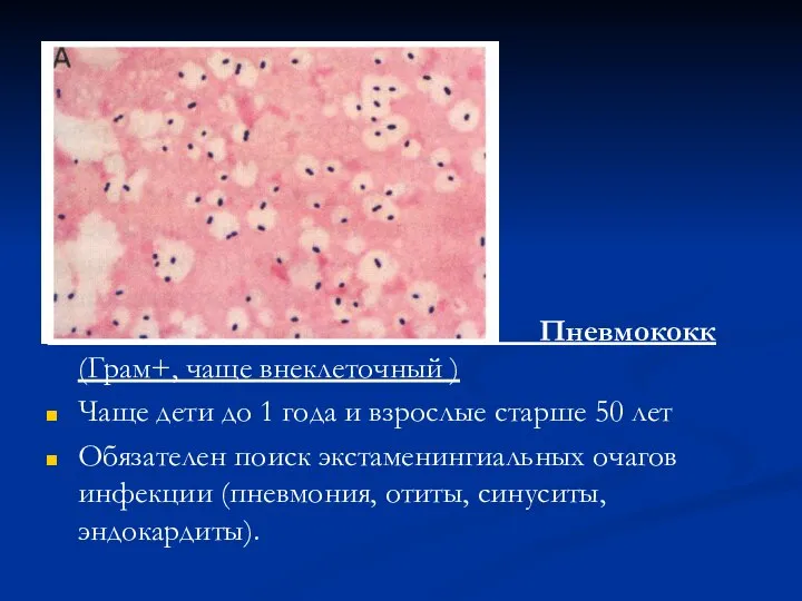 Пневмококк (Грам+, чаще внеклеточный ) Чаще дети до 1 года и