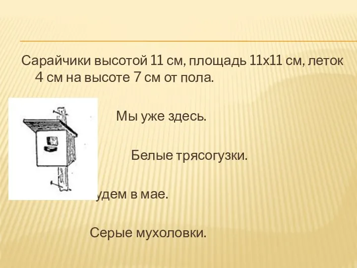 Сарайчики высотой 11 см, площадь 11х11 см, леток 4 см на