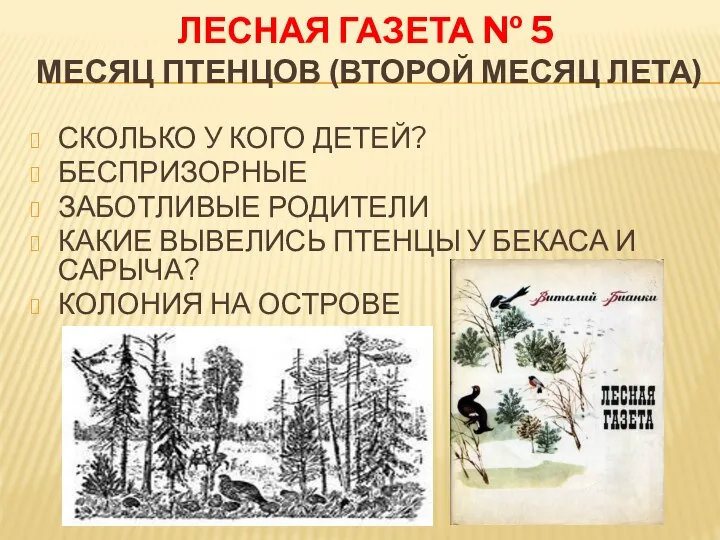 ЛЕСНАЯ ГАЗЕТА № 5 МЕСЯЦ ПТЕНЦОВ (ВТОРОЙ МЕСЯЦ ЛЕТА) СКОЛЬКО У