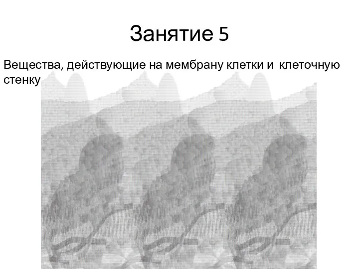 Занятие 5 Вещества, действующие на мембрану клетки и клеточную стенку