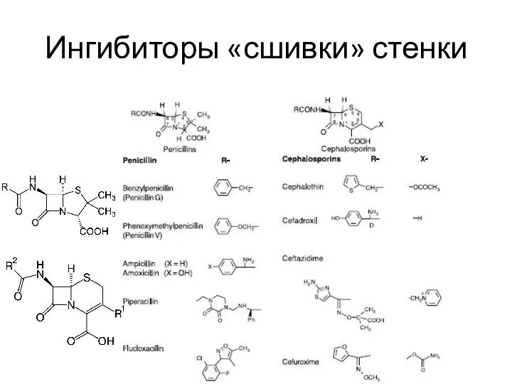 Ингибиторы «сшивки» стенки