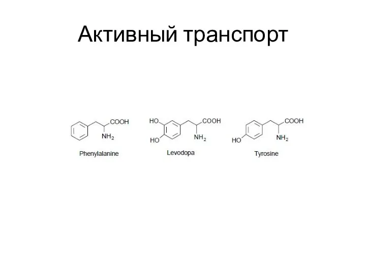 Активный транспорт