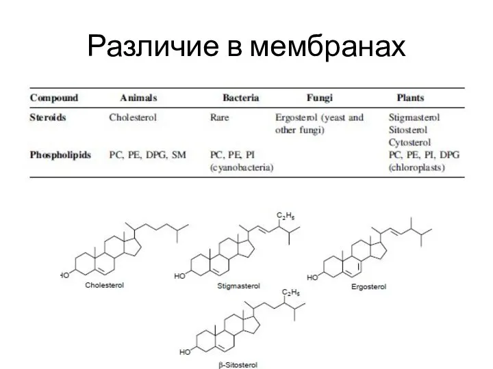 Различие в мембранах