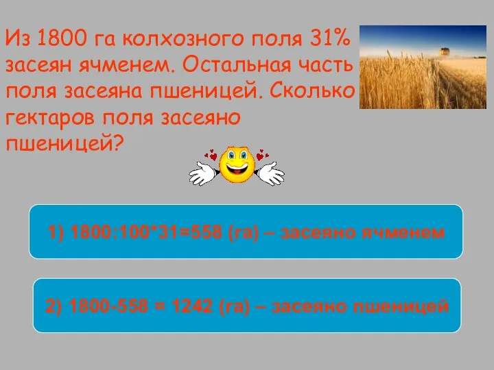 Из 1800 га колхозного поля 31% засеян ячменем. Остальная часть поля