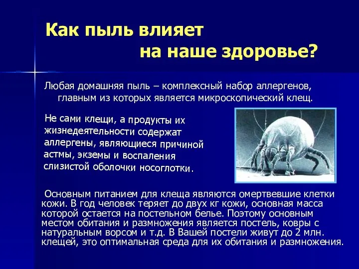 Как пыль влияет на наше здоровье? Любая домашняя пыль – комплексный