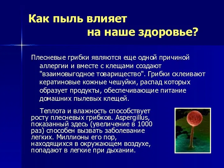 Как пыль влияет на наше здоровье? Плесневые грибки являются еще одной