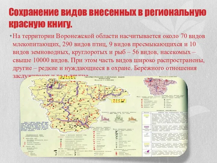 Сохранение видов внесенных в региональную красную книгу. На территории Воронежской области