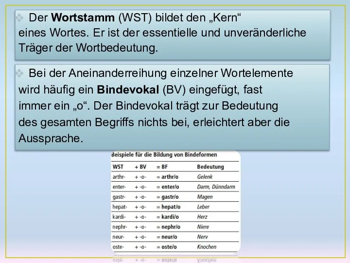 Der Wortstamm (WST) bildet den „Kern“ eines Wortes. Er ist der