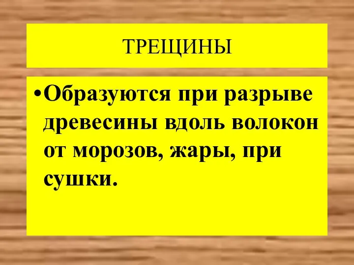 ТРЕЩИНЫ Образуются при разрыве древесины вдоль волокон от морозов, жары, при сушки.