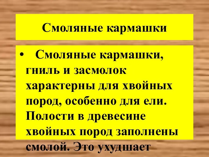 Смоляные кармашки Смоляные кармашки, гниль и засмолок характерны для хвойных пород,