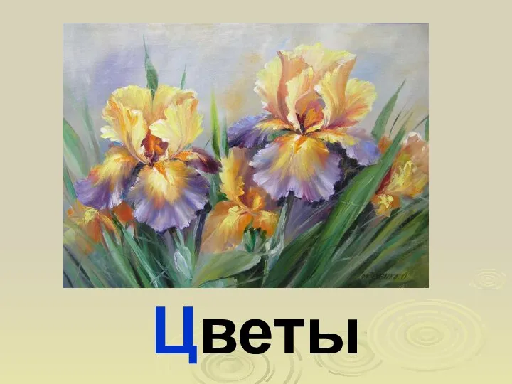 Цветы