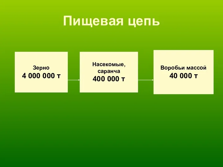 Пищевая цепь Зерно 4 000 000 т Насекомые, саранча 400 000