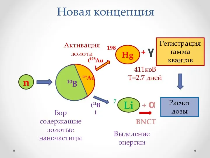 Новая концепция n Li 7 + α + γ Регистрация гамма