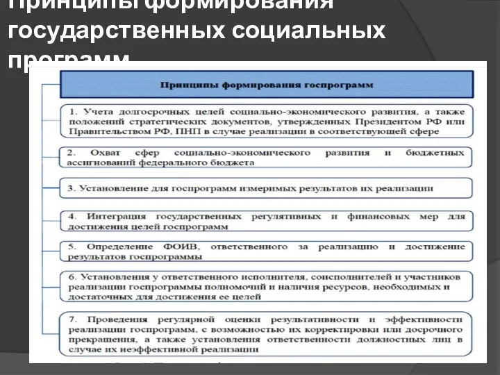 Принципы формирования государственных социальных программ