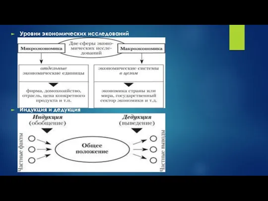 Уровни экономических исследований Индукция и дедукция