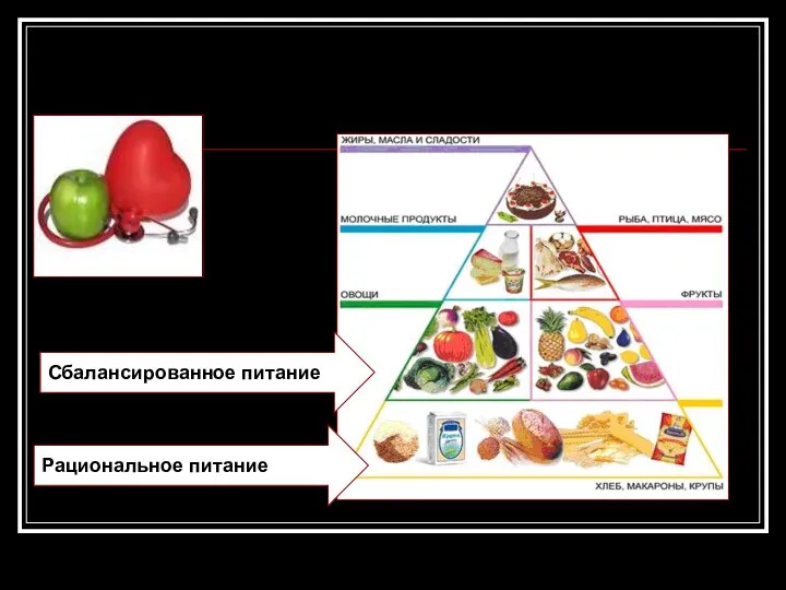 Правильное питание: Сбалансированное питание Рациональное питание