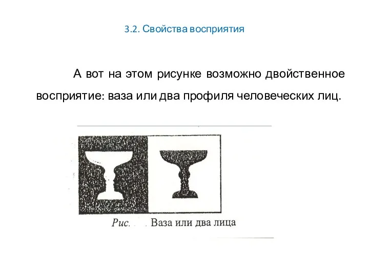 3.2. Свойства восприятия А вот на этом рисунке возможно двойственное восприятие: