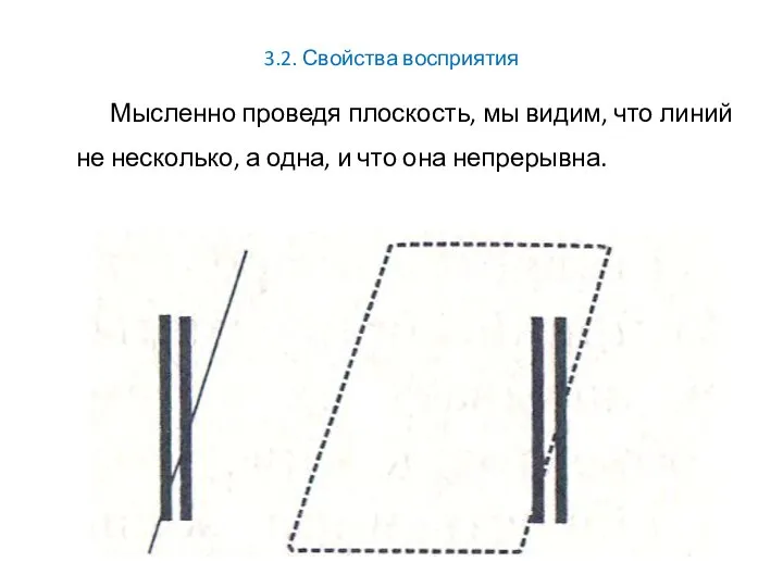 3.2. Свойства восприятия Мысленно проведя плоскость, мы видим, что линий не