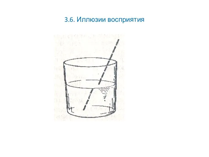 3.6. Иллюзии восприятия