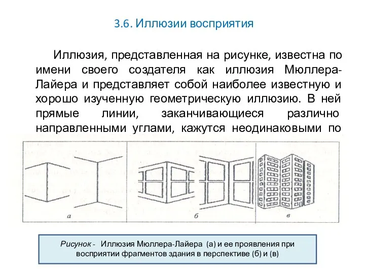 3.6. Иллюзии восприятия Иллюзия, представленная на рисунке, известна по имени своего