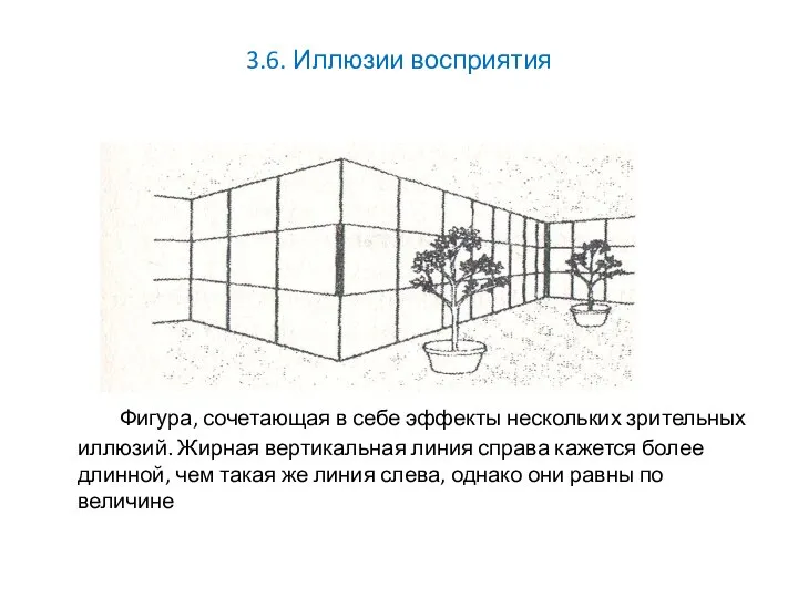 3.6. Иллюзии восприятия Фигура, сочетающая в себе эффекты нескольких зрительных иллюзий.