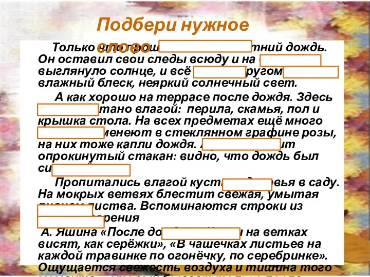 Только что прошёл сильный летний дождь. Он оставил свои следы всюду