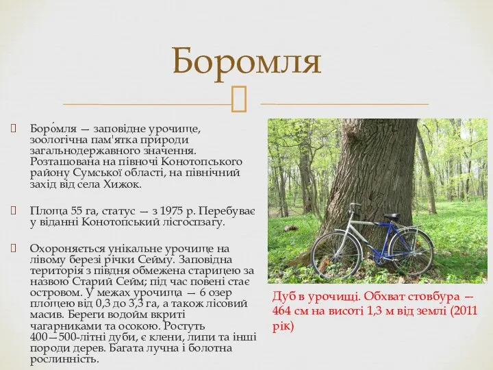 Боро́мля — заповідне урочище, зоологічна пам'ятка природи загальнодержавного значення. Розташована на