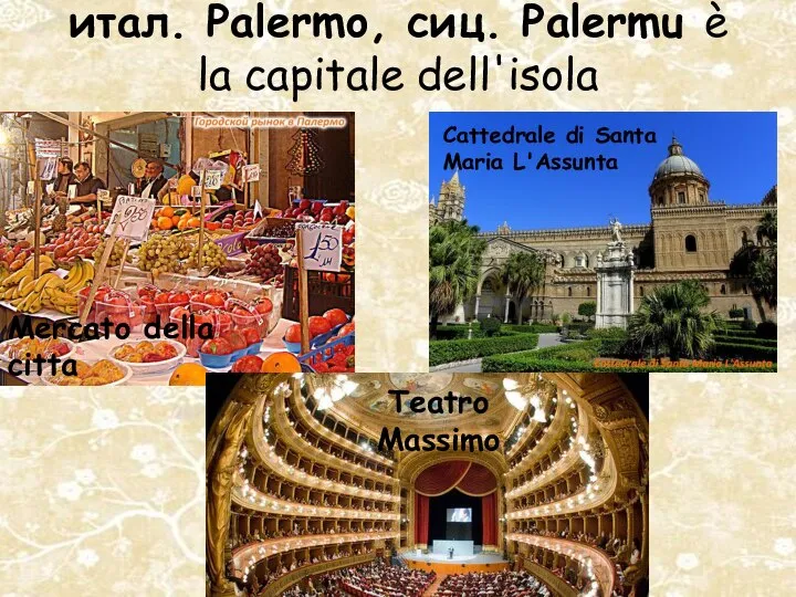 итал. Palermo, сиц. Palermu è la capitale dell'isola Mercato della citta